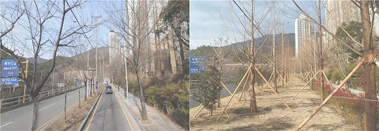 좌측부터 관문대로 도시바람길숲 조성공사 전, 후.(사진출처=부산시)