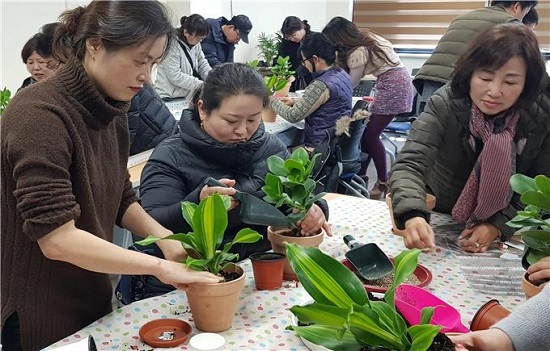 매달 실시될 공기 정화식물 교육.(사진출처=부산시)