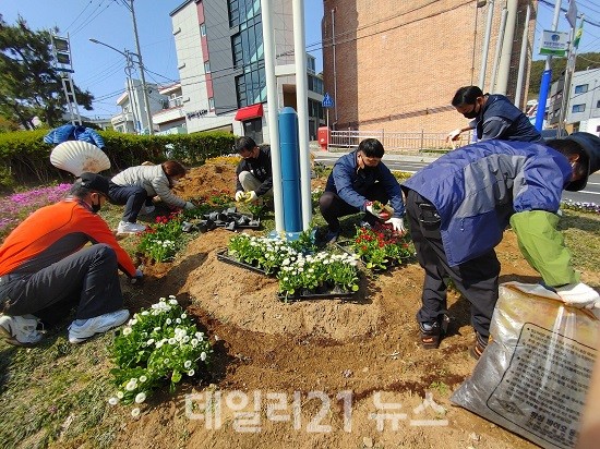 동삼2동, 봄 초화 식재 활동 실시 사진 (제공=영도구청)