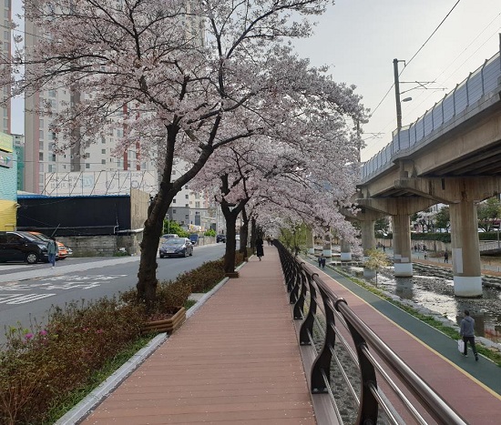 금정구 거리 사진  (제공=금정구청)