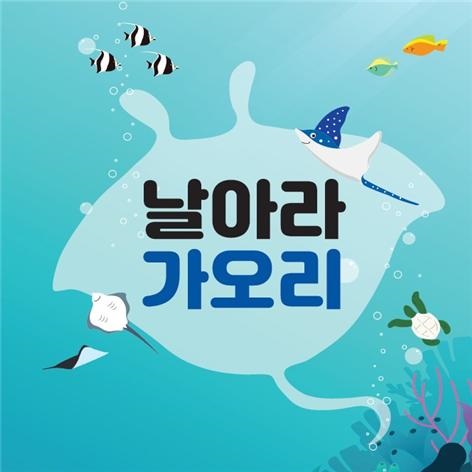 ‘날아라 가오리’ 홍보 이미지(출처=부산시 해양자연사박물관)