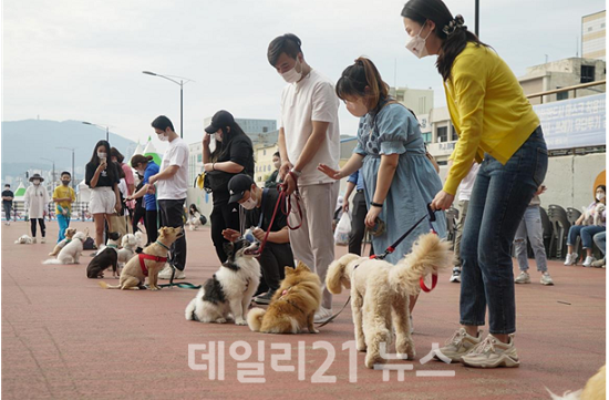 영도구 ‘흰여울 힐링 산책’ 행사 사진 (제공=부산시청)