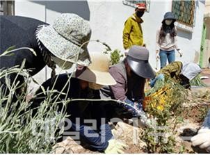 도시재생형 마을정원사 교육과정 마을정원 조성모습.(출처=부산시 농업기술센터)