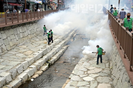 해충 퇴치를 위해 방역 작업을 하고 있는 모습.[제공=동구청]