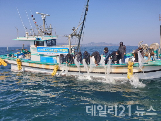 장목면 해역에 대구수정란 방류 모습.[제공=거제시]