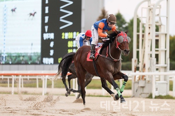 KRA컵 클래식 대상경주 결승선 통과하는 위너스맨과 서승운 기수.(사진제공=렛츠런파크 부산경남)