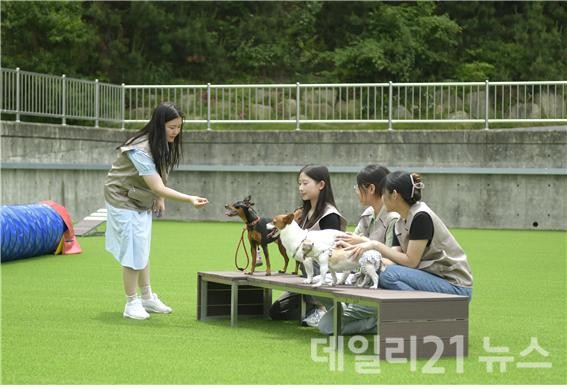 신라대학교가 국내 최초로 캠퍼스 내 반려견 전문 유치원 개설을 추진한다.(사진제공=신라대학교)