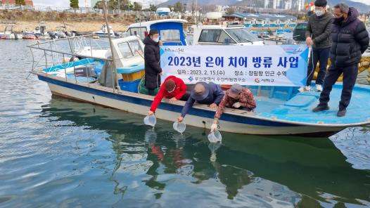 지난해 은어 치어 방류 모습.[사진=부산시 제공]