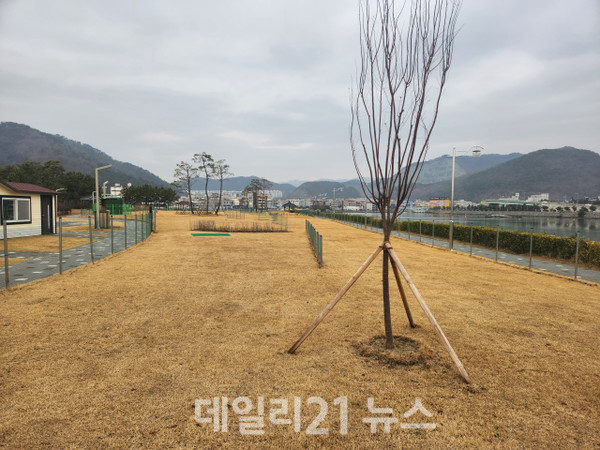 진해구 용원체육공원 내에 조성된 용원파크골프장./창원시 제공