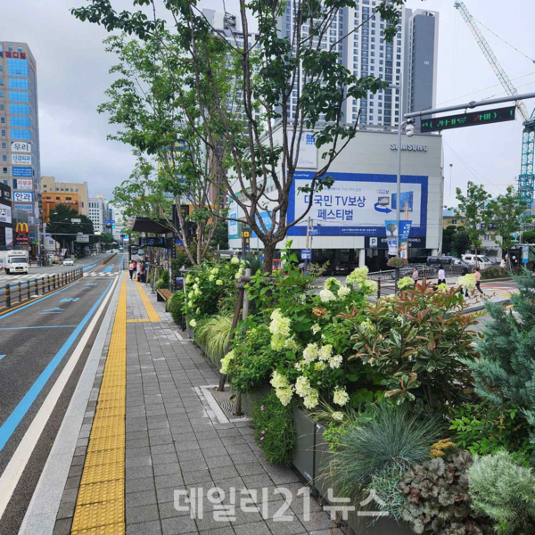 부산시청 BRT 정류소 정원형 도시숲 조성 사례. / 사진 = 부산시 제공